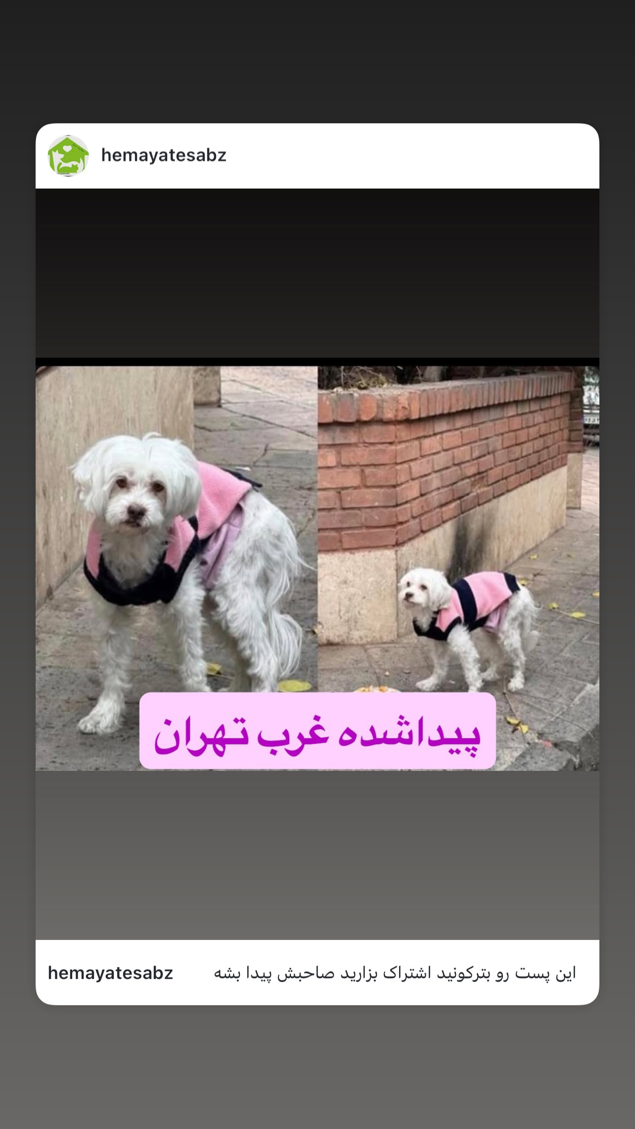  جدید ترین استوری اینستاگرام مینا وحید