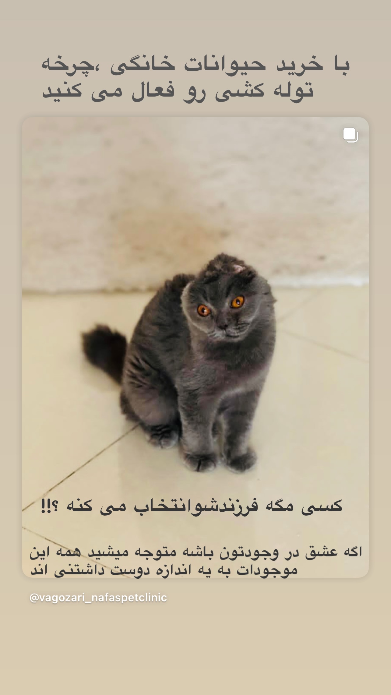  جدید ترین استوری اینستاگرام مینا وحید