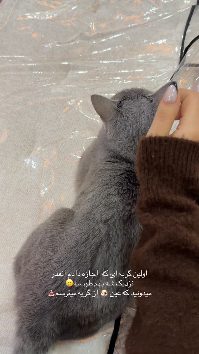  جدید ترین استوری اینستاگرام زهرا حقانی
