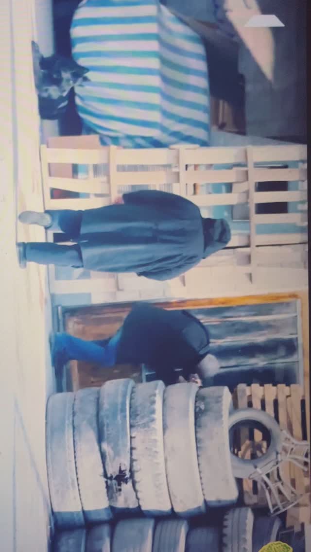  جدید ترین استوری اینستاگرام میر هامون سیدی
