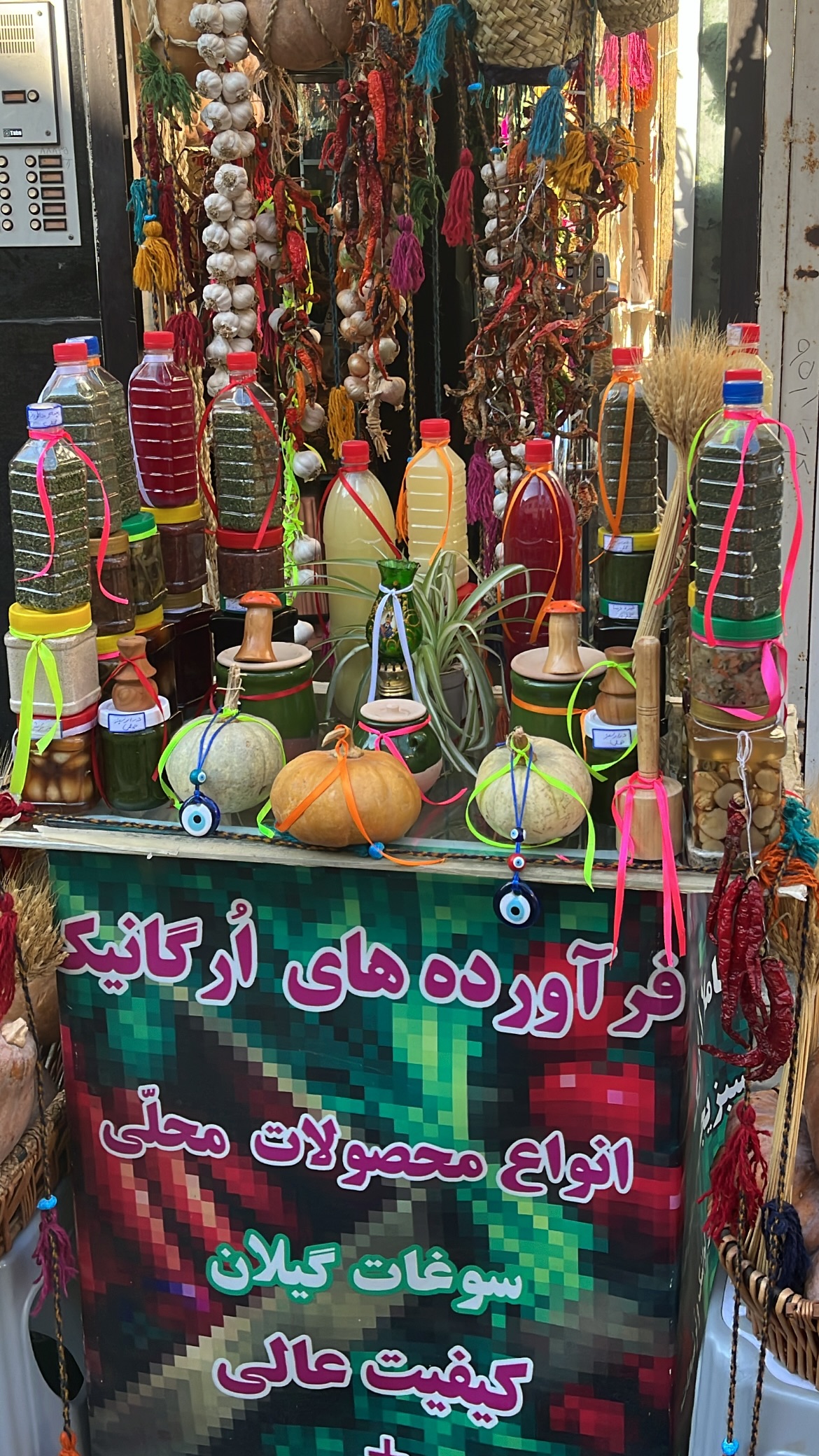 جدید ترین استوری اینستاگرام میر هامون سیدی