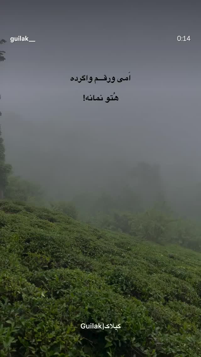  جدید ترین استوری اینستاگرام میر هامون سیدی