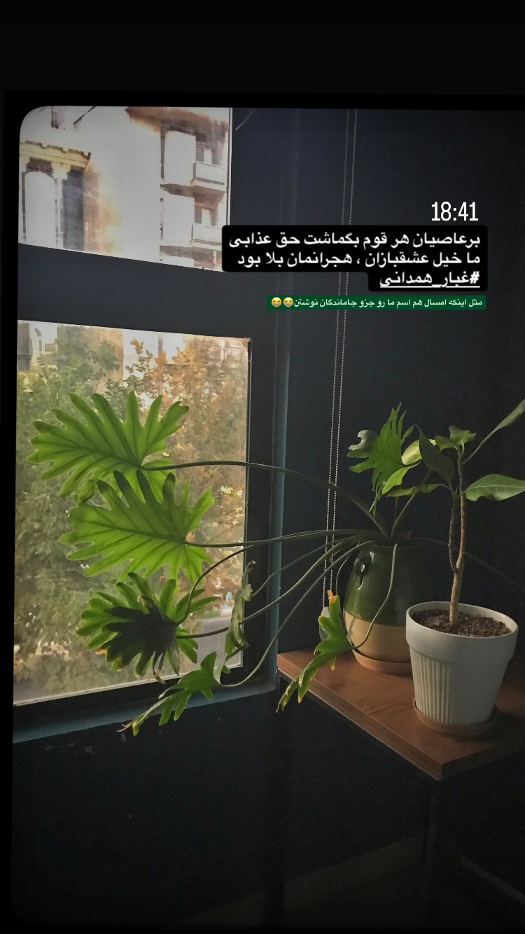  جدید ترین استوری اینستاگرام حمید قربانپور