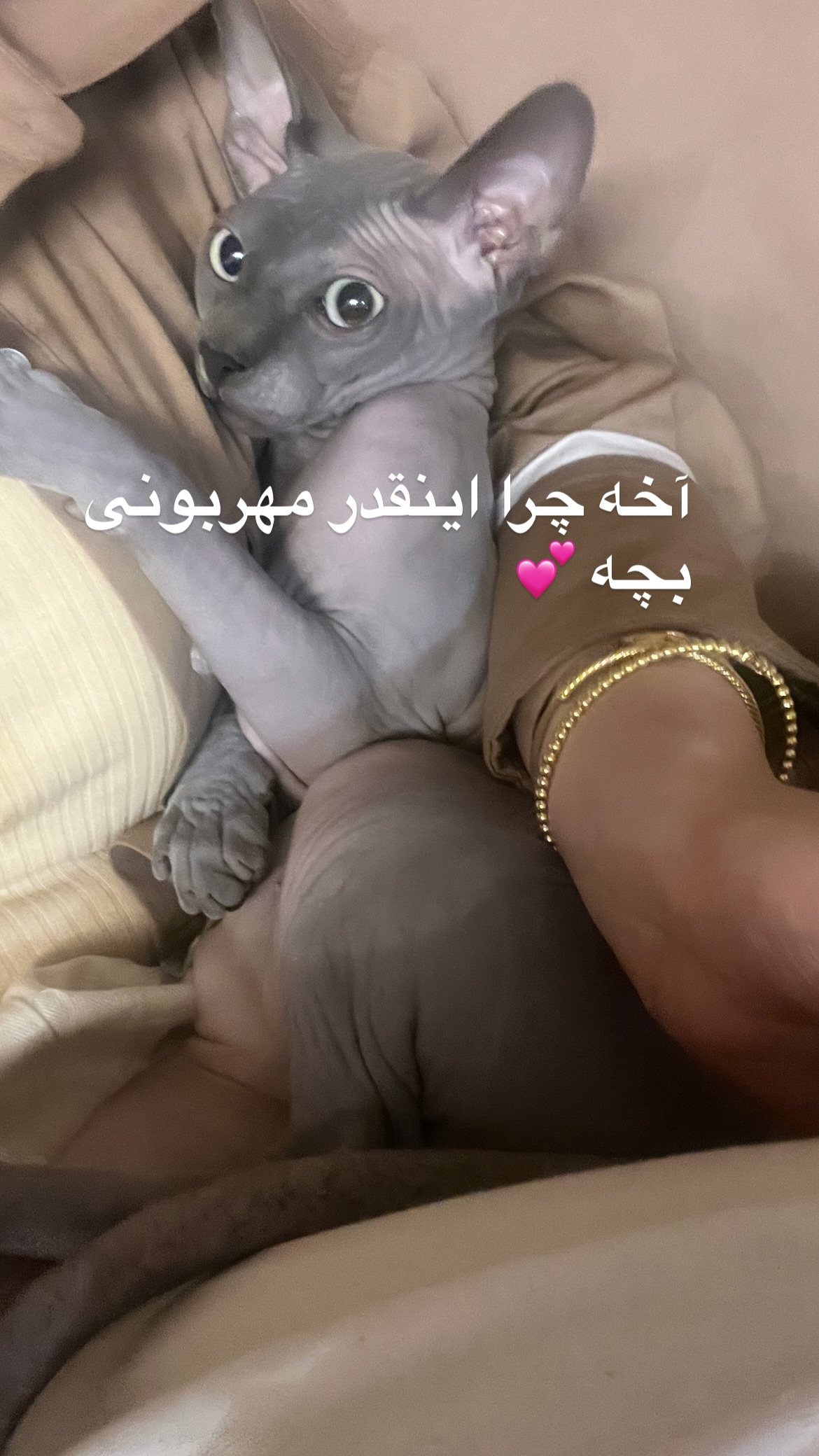  جدید ترین استوری اینستاگرام میس نانا