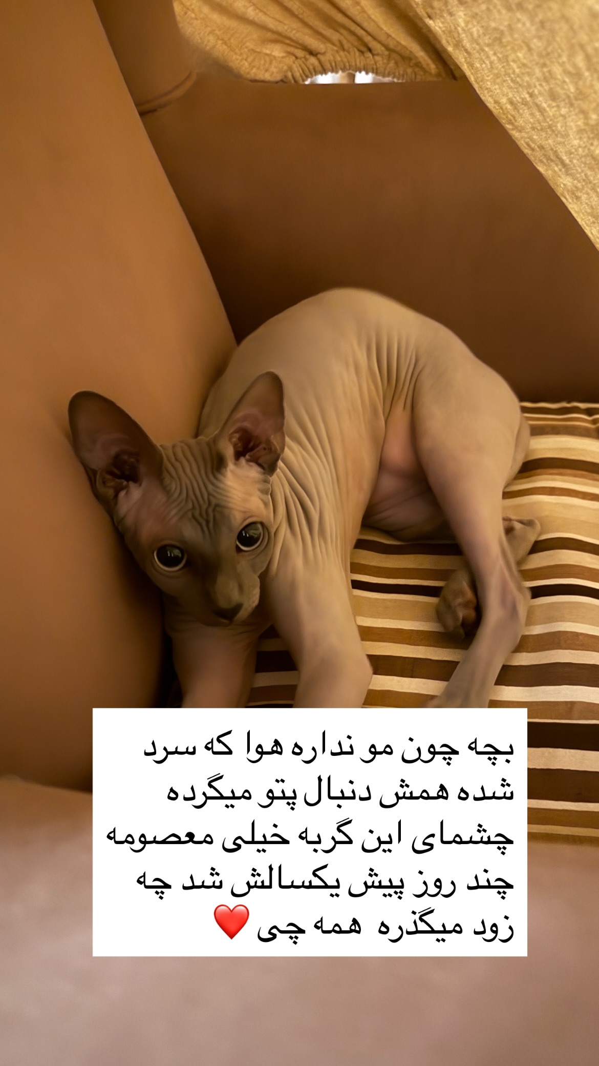  جدید ترین استوری اینستاگرام میس نانا