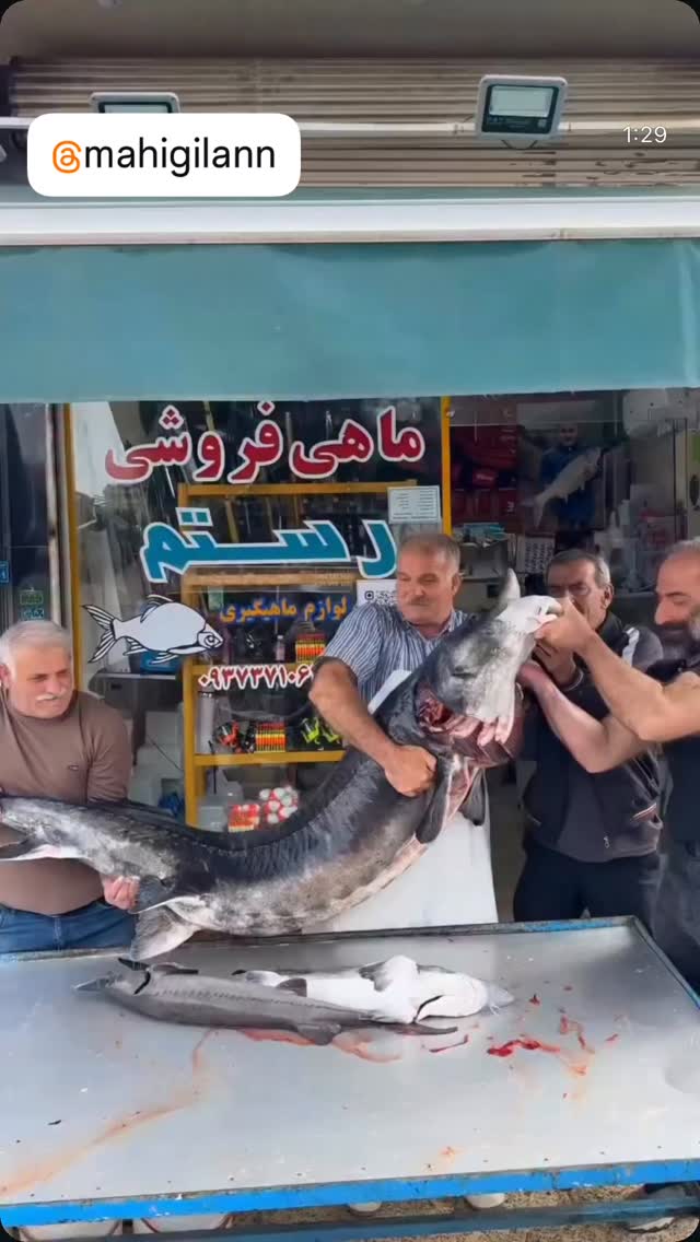  جدید ترین استوری اینستاگرام میس نانا