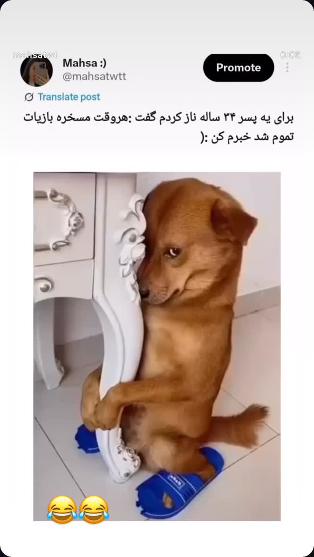  جدید ترین استوری اینستاگرام میترا یوسفی