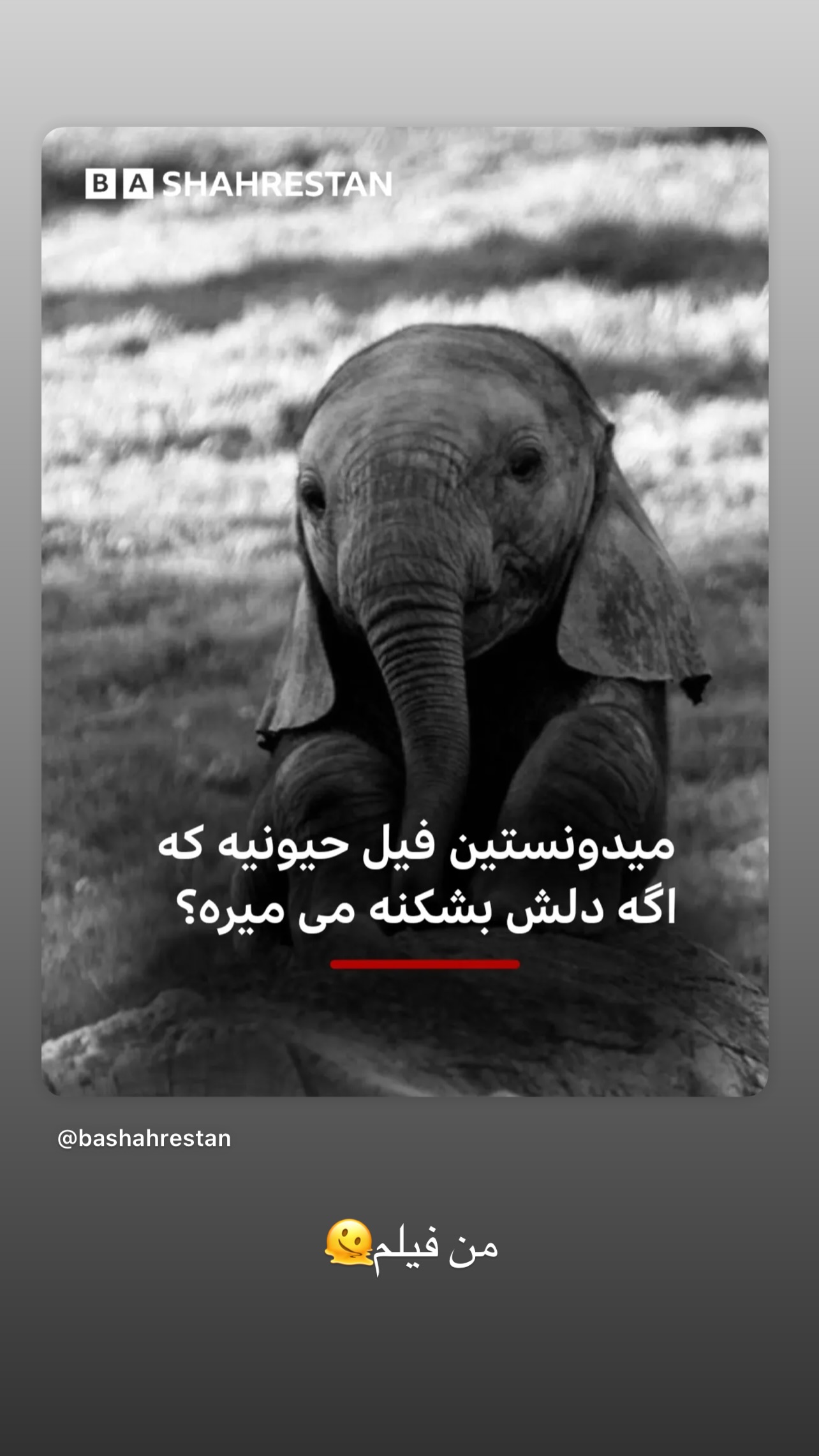  جدید ترین استوری اینستاگرام میترا یوسفی