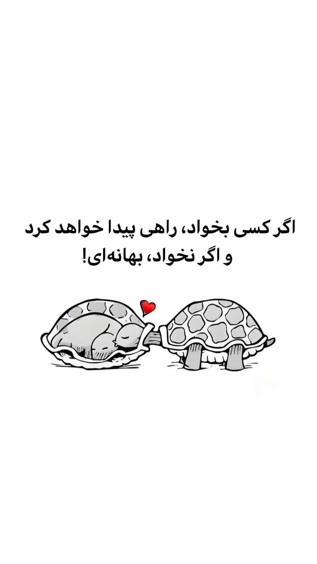  جدید ترین استوری اینستاگرام محمد جواد حیدری