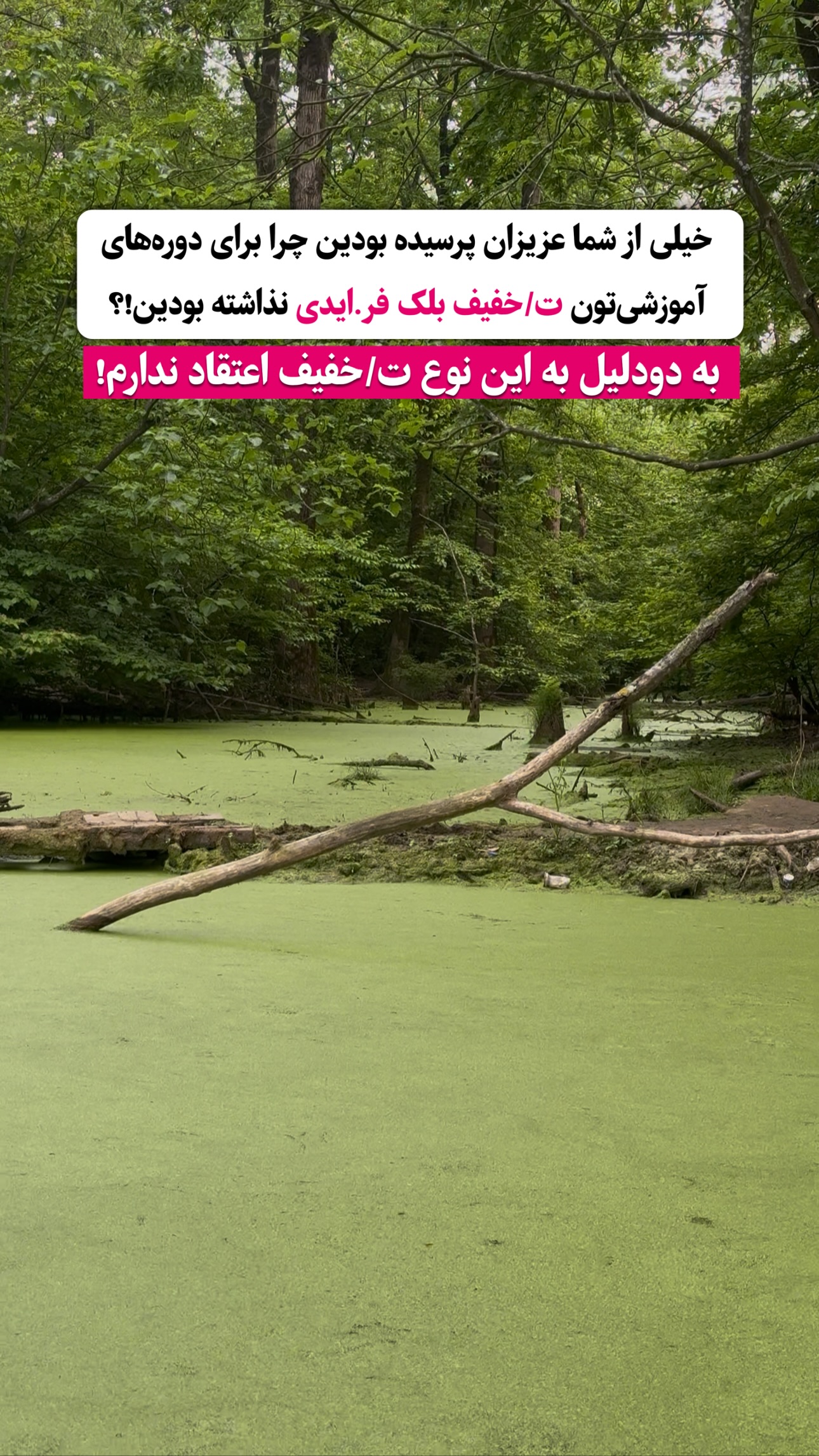  جدید ترین استوری اینستاگرام محمد جواد حیدری