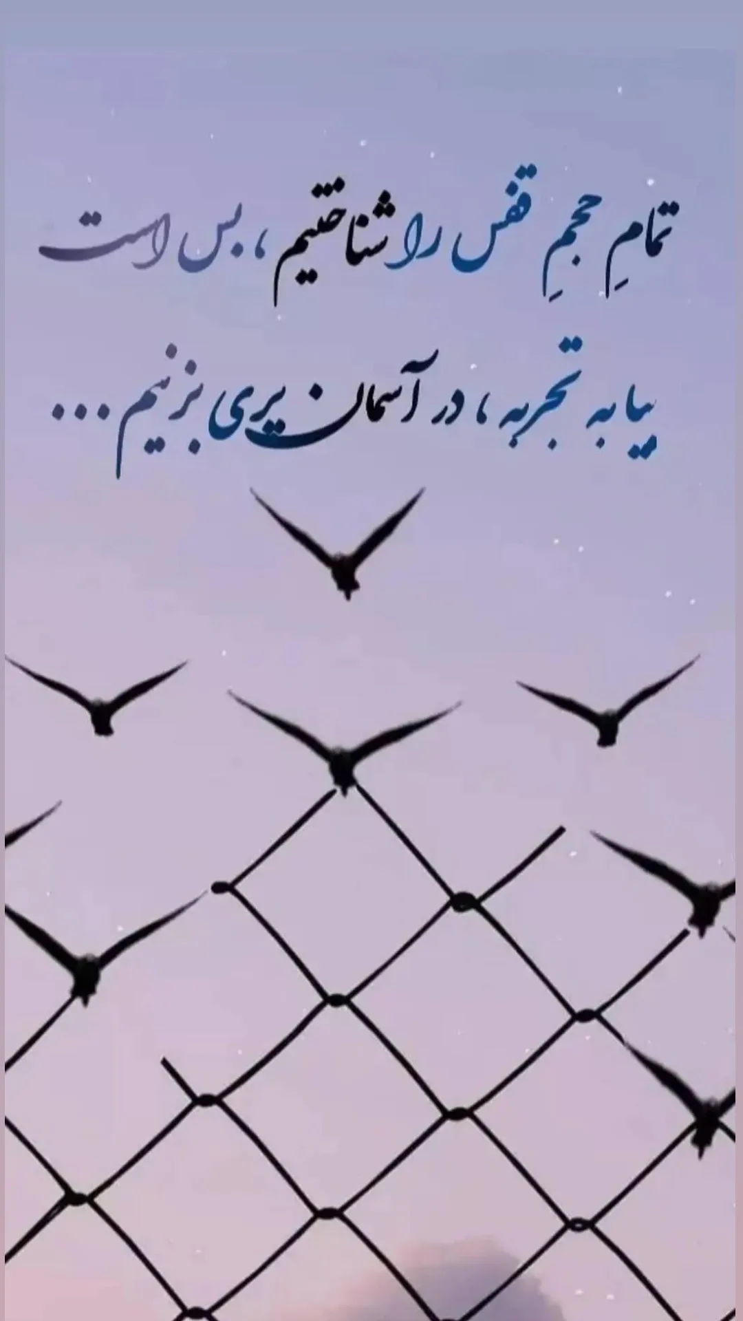  جدید ترین استوری اینستاگرام محمد جواد حیدری