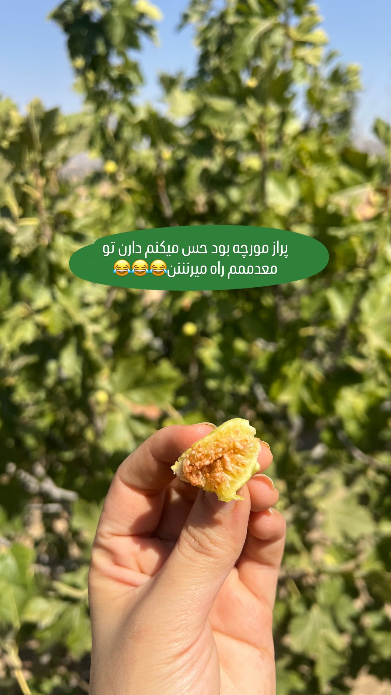  جدید ترین استوری اینستاگرام مبینا کرمی