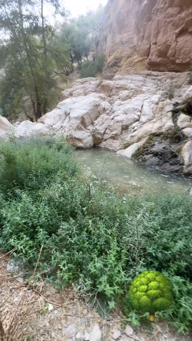  جدید ترین استوری اینستاگرام مبینا کرمی