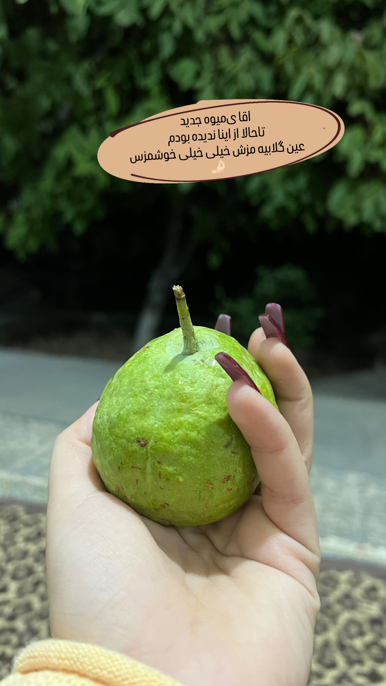  جدید ترین استوری اینستاگرام مبینا کرمی