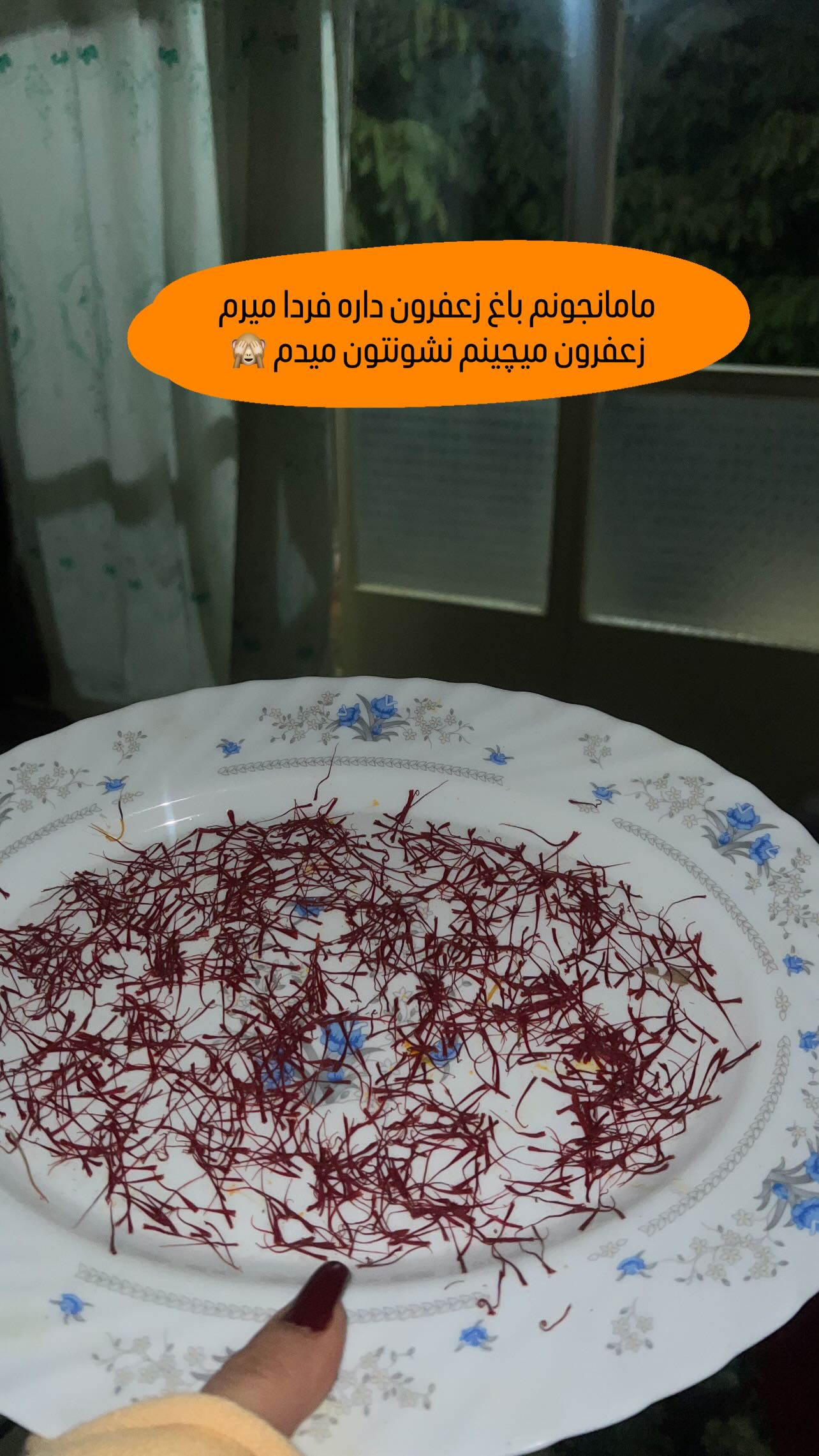  جدید ترین استوری اینستاگرام مبینا کرمی