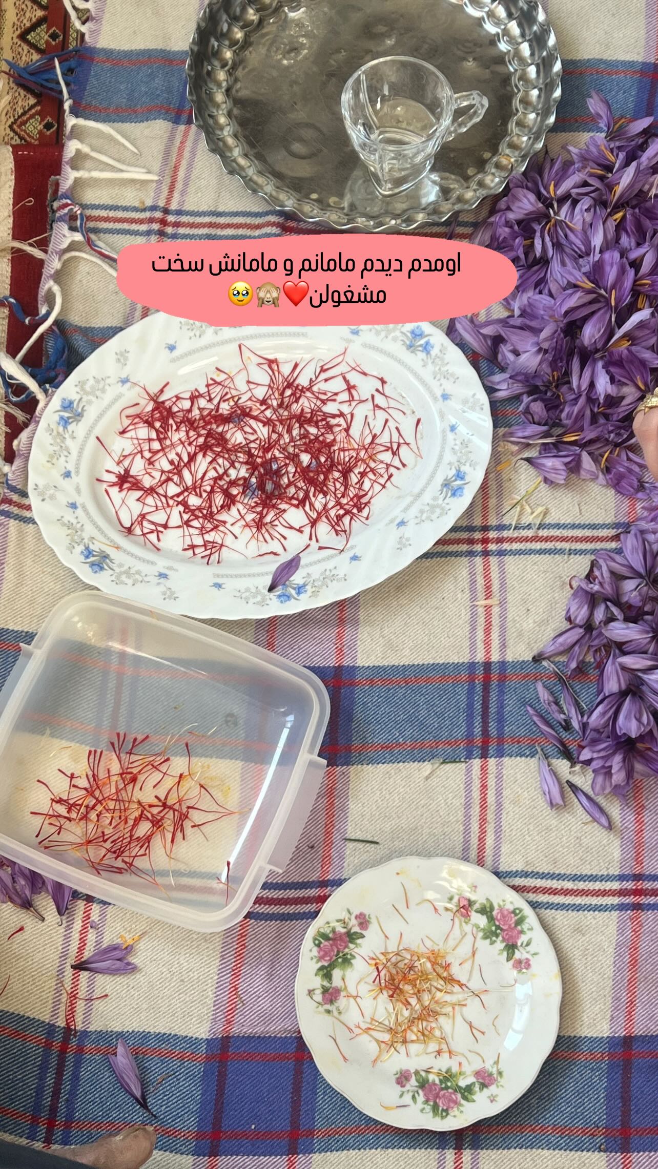  جدید ترین استوری اینستاگرام مبینا کرمی