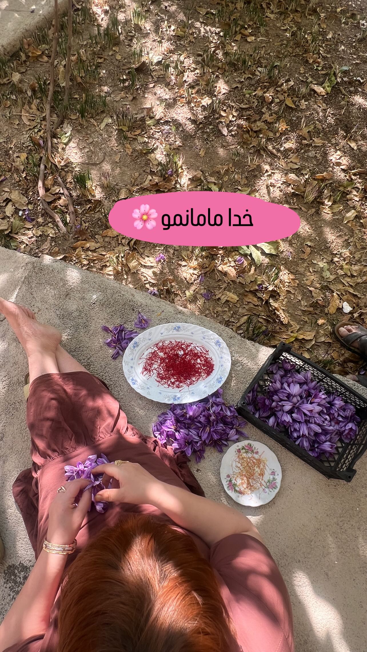  جدید ترین استوری اینستاگرام مبینا کرمی