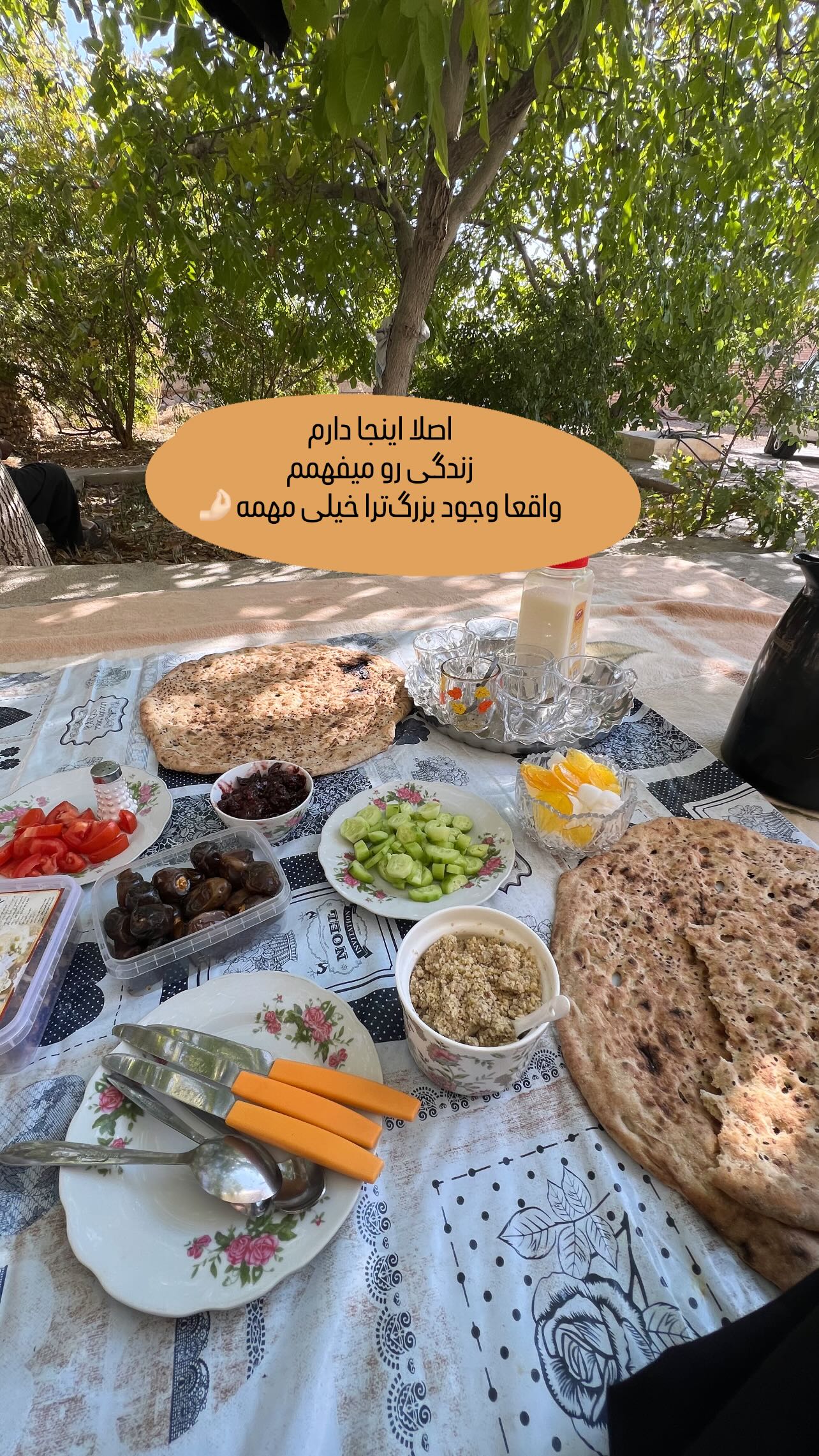  جدید ترین استوری اینستاگرام مبینا کرمی