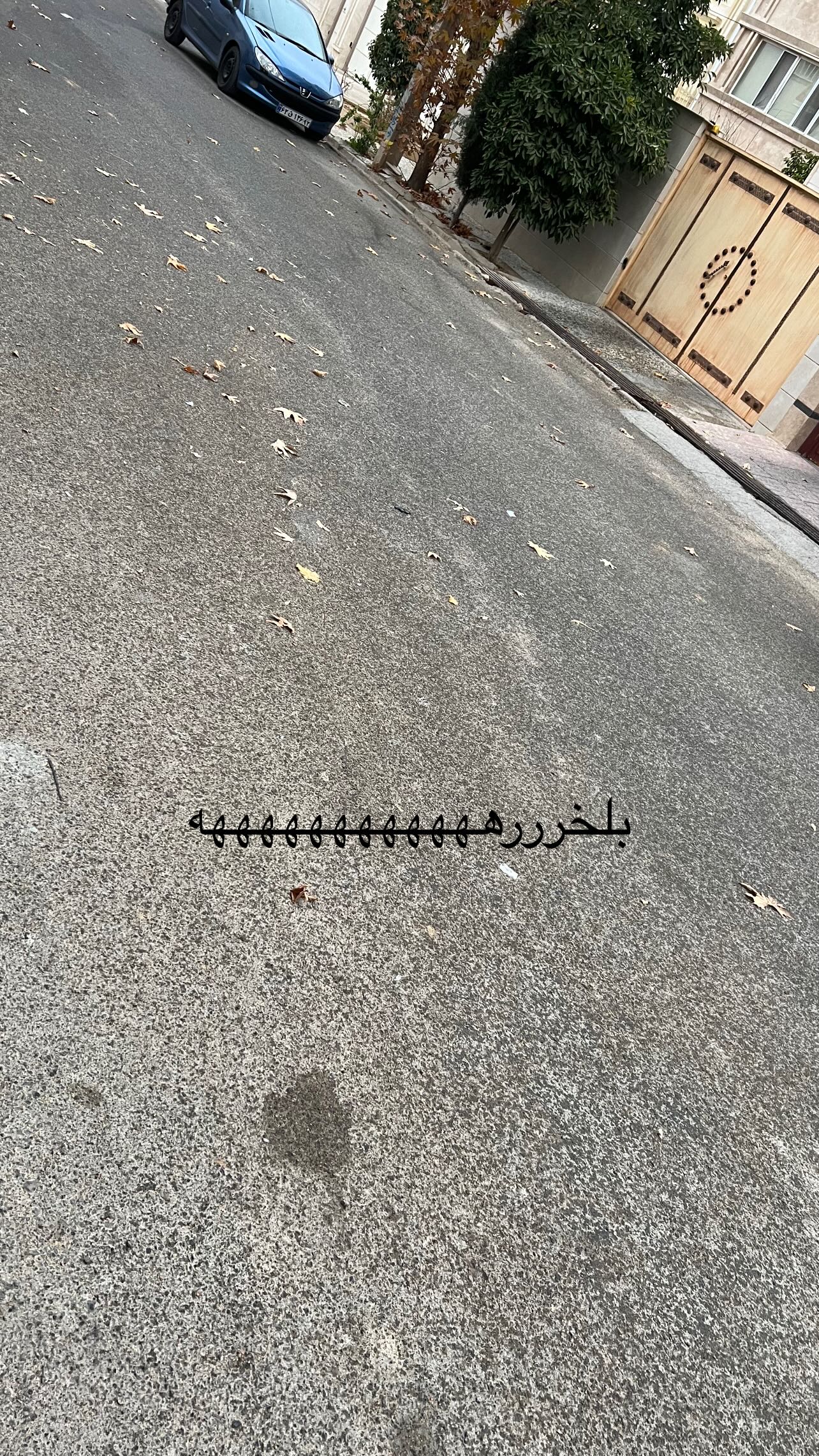  جدید ترین استوری اینستاگرام مبینا کرمی