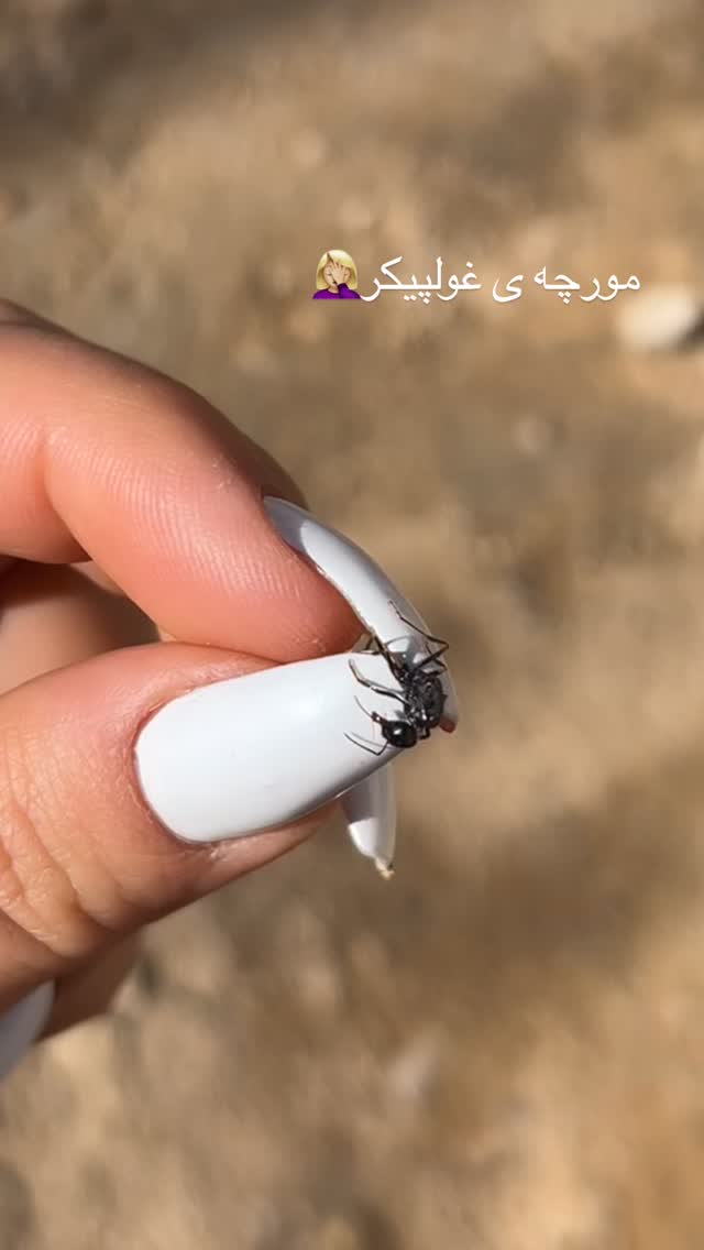  جدید ترین استوری اینستاگرام مبینا کرمی