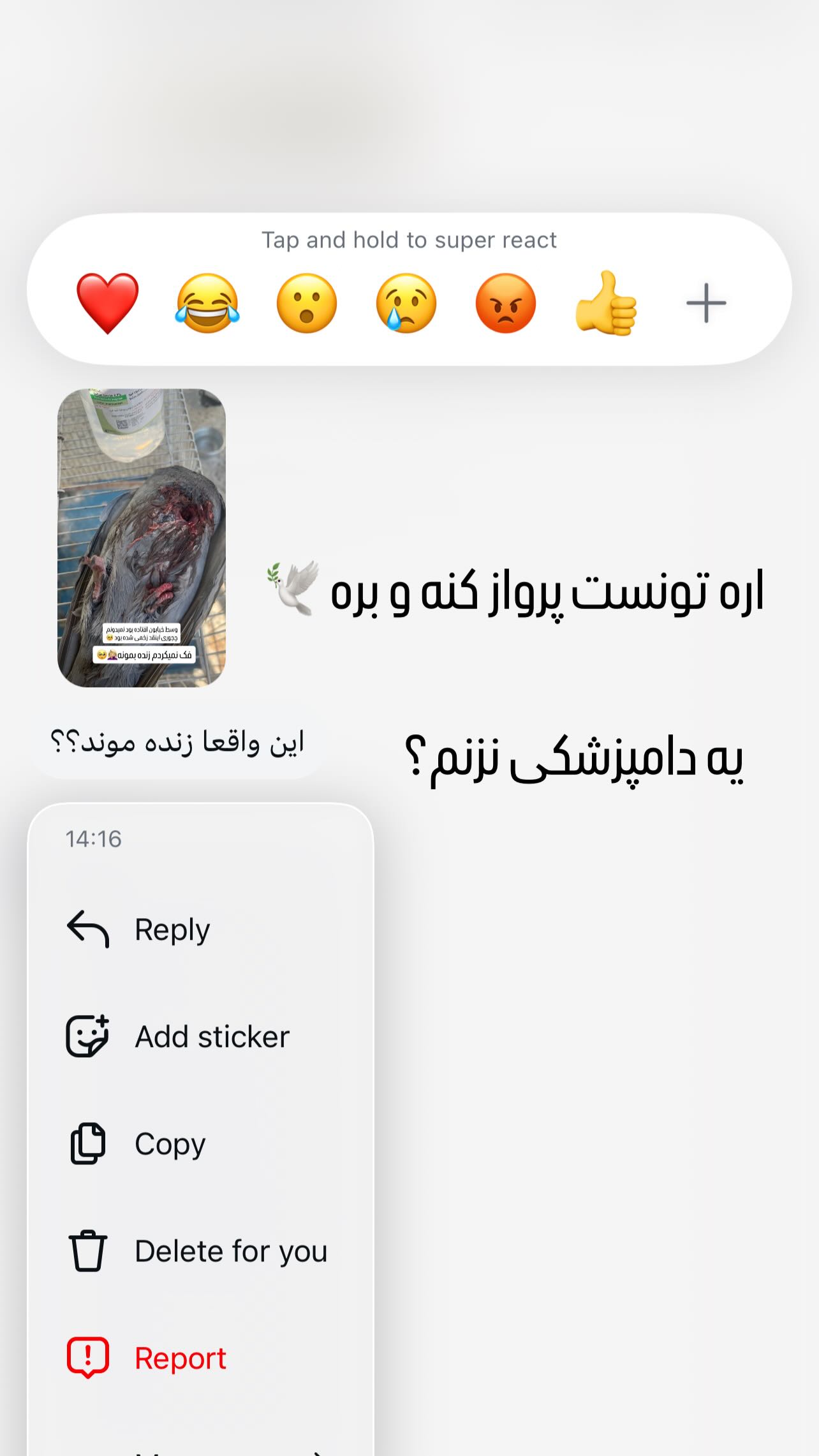  جدید ترین استوری اینستاگرام مبینا کرمی