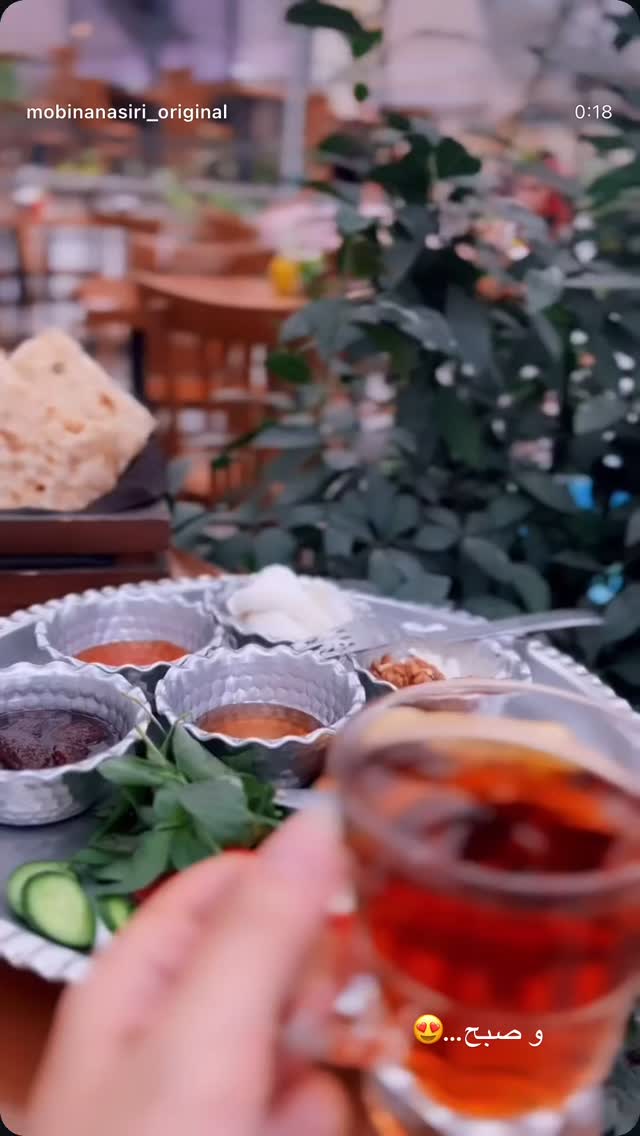  جدید ترین استوری اینستاگرام مبینا نصیری
