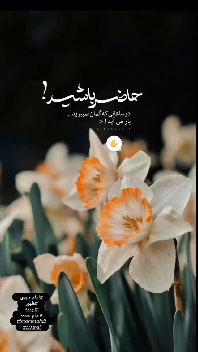  جدید ترین استوری اینستاگرام مبینا نصیری