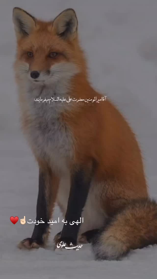  جدید ترین استوری اینستاگرام مبینا نصیری