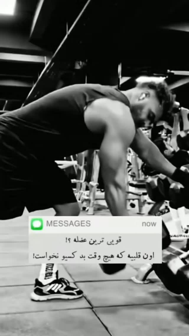  جدید ترین استوری اینستاگرام معین زد