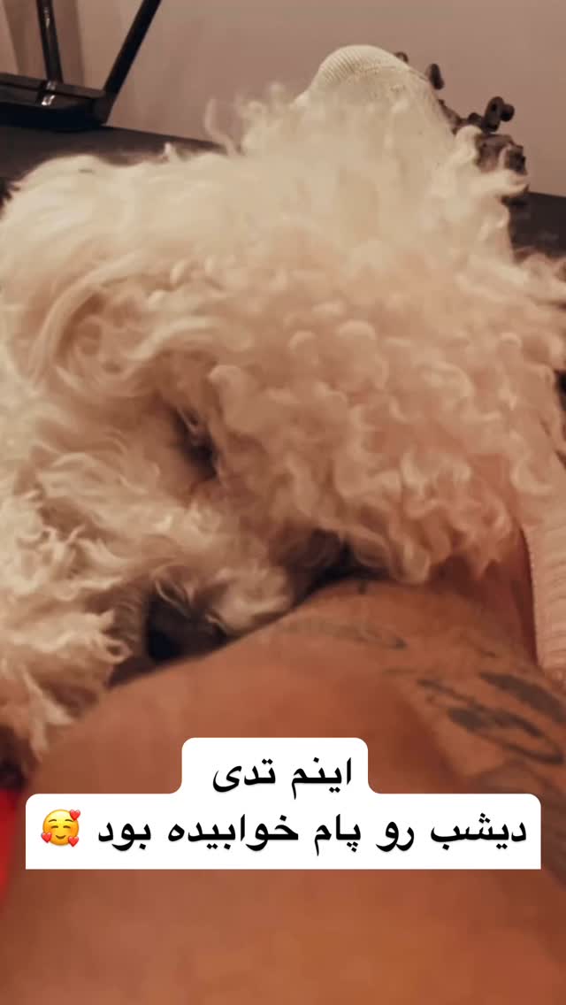  جدید ترین استوری اینستاگرام معین زد