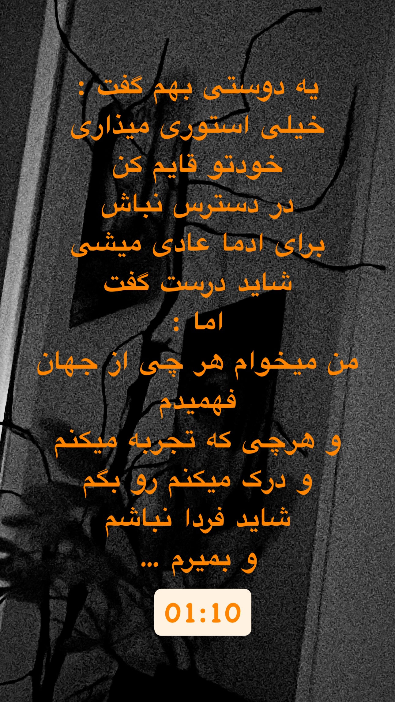  جدید ترین استوری اینستاگرام معین زد