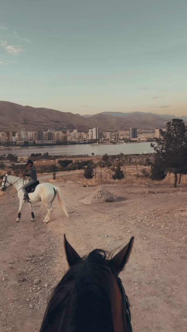  جدید ترین استوری اینستاگرام معین زد