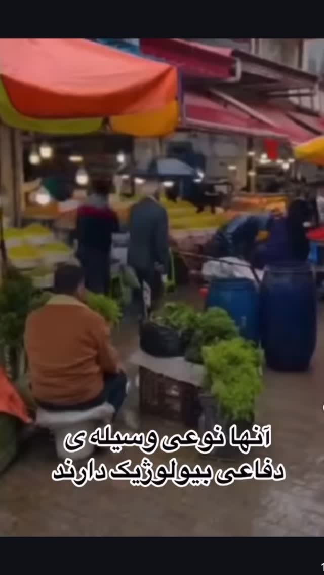  جدید ترین استوری اینستاگرام معین زد