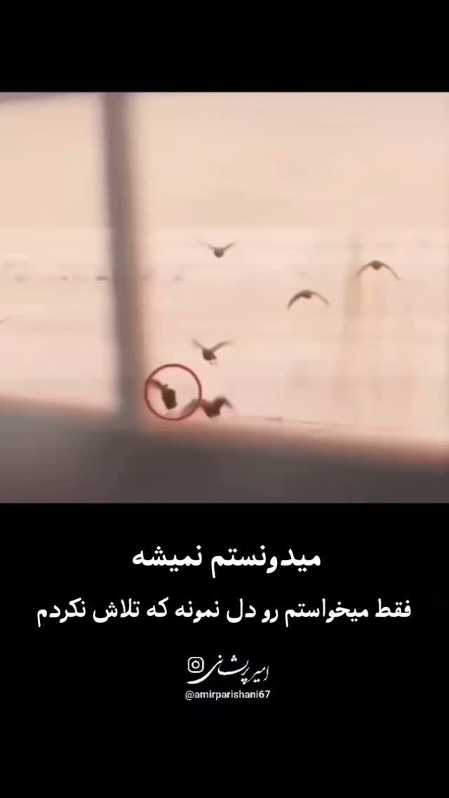  جدید ترین استوری اینستاگرام معین زد