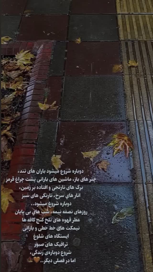  جدید ترین استوری اینستاگرام معین زد