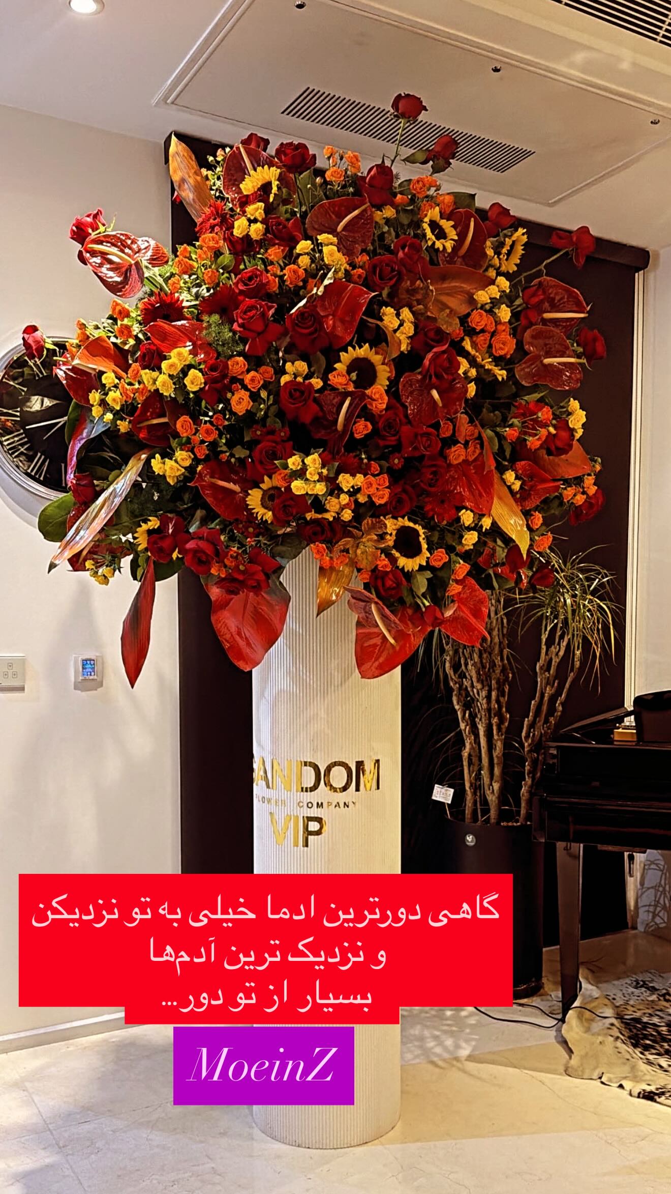  جدید ترین استوری اینستاگرام معین زد