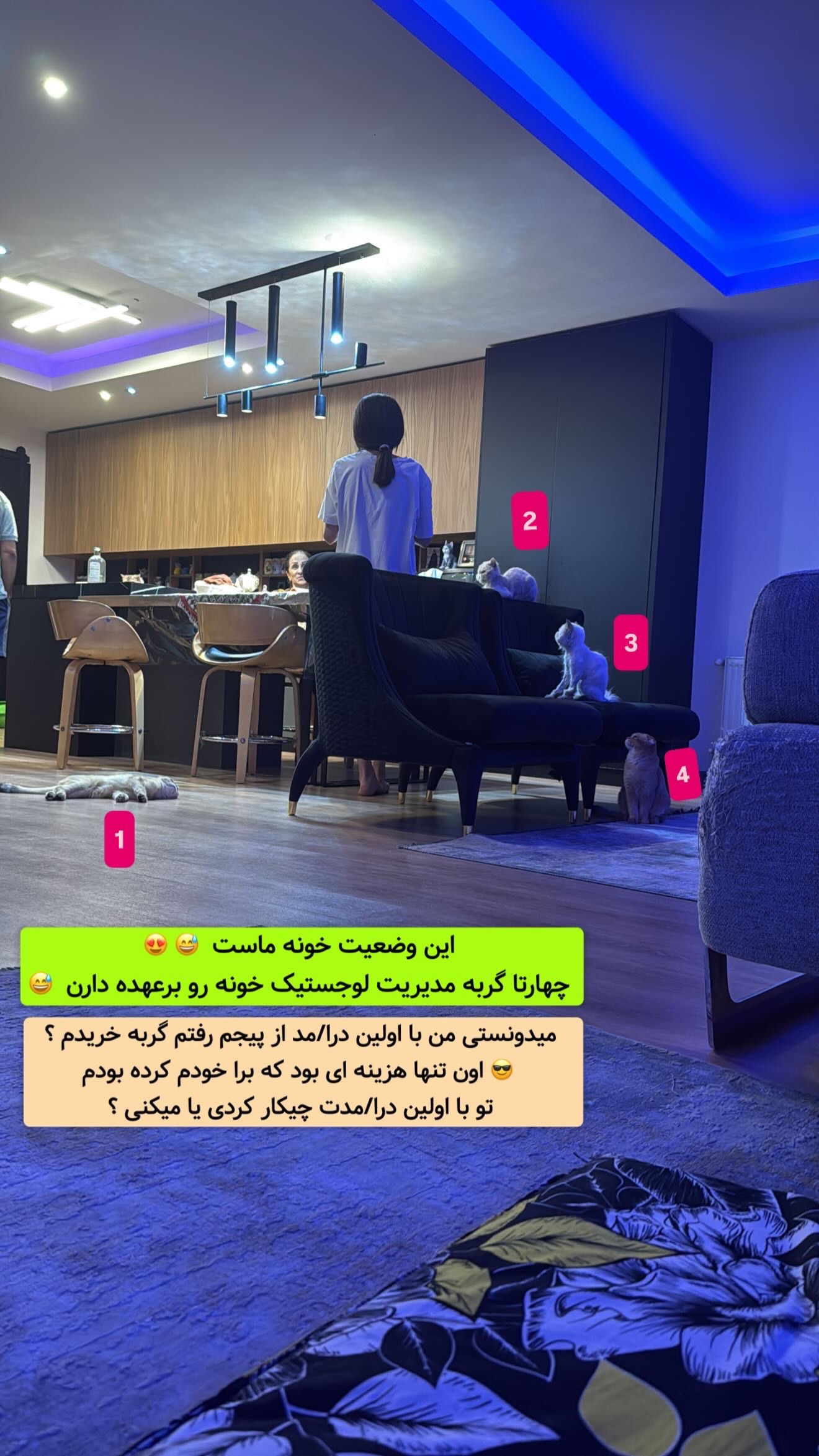  جدید ترین استوری اینستاگرام معین فرجی