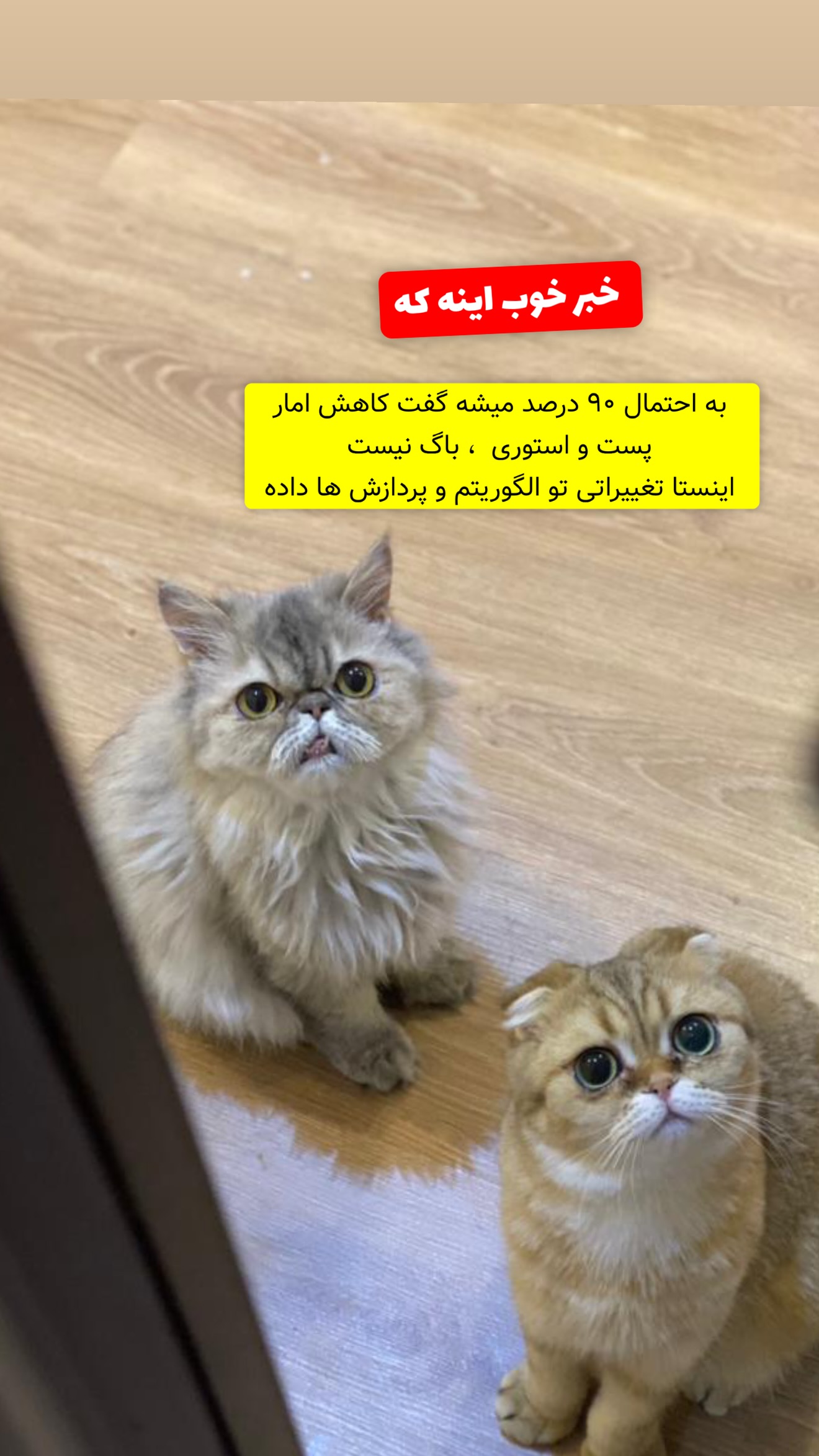  جدید ترین استوری اینستاگرام معین فرجی