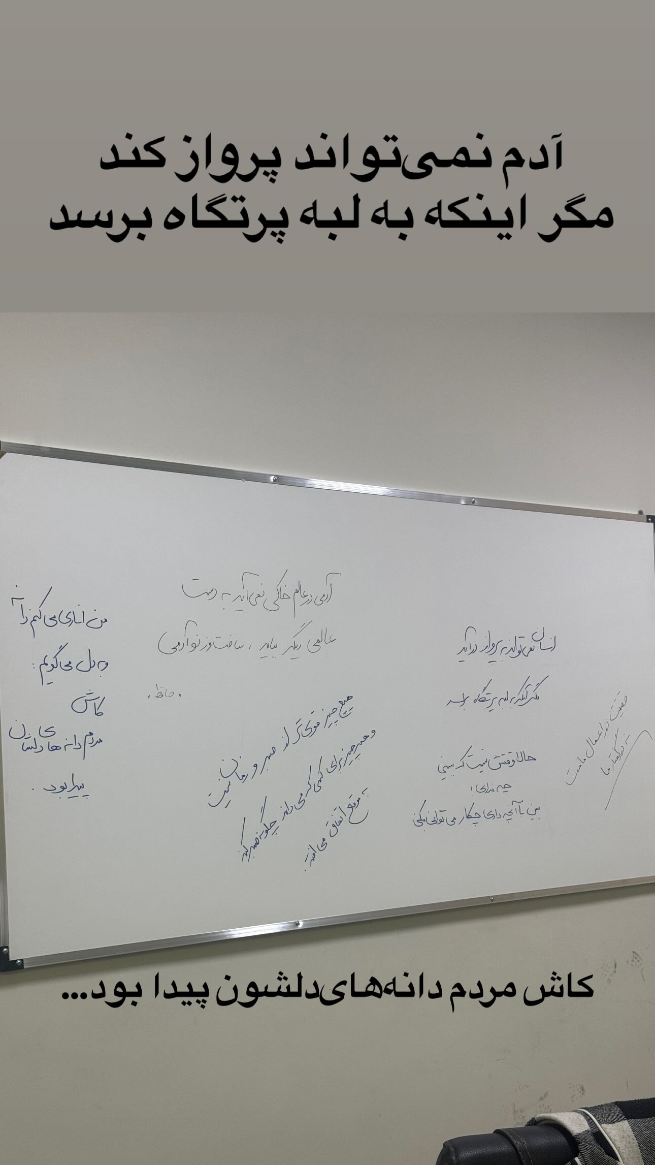 جدید ترین استوری اینستاگرام سمیرا مقدسی