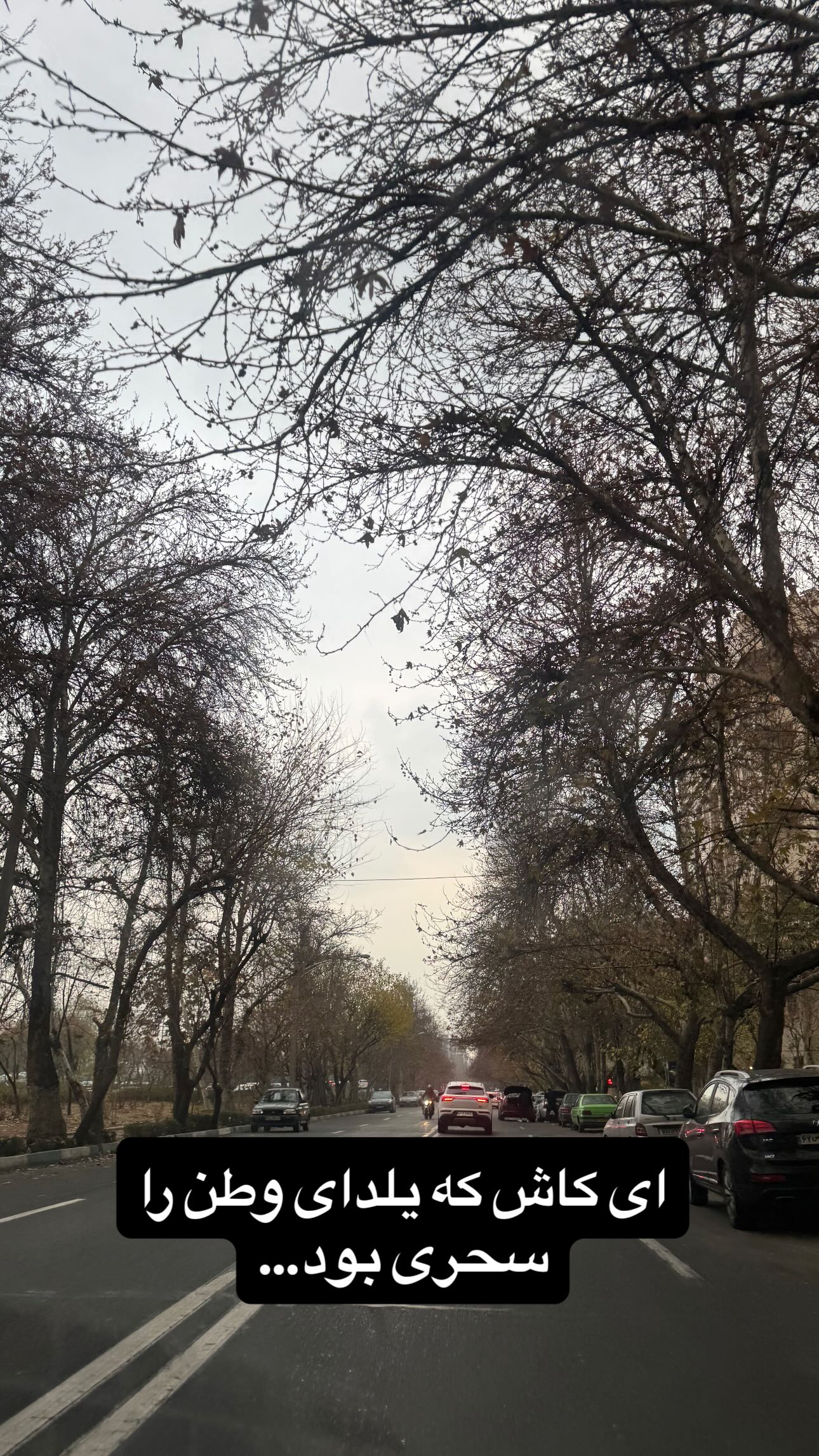  جدید ترین استوری اینستاگرام سمیرا مقدسی
