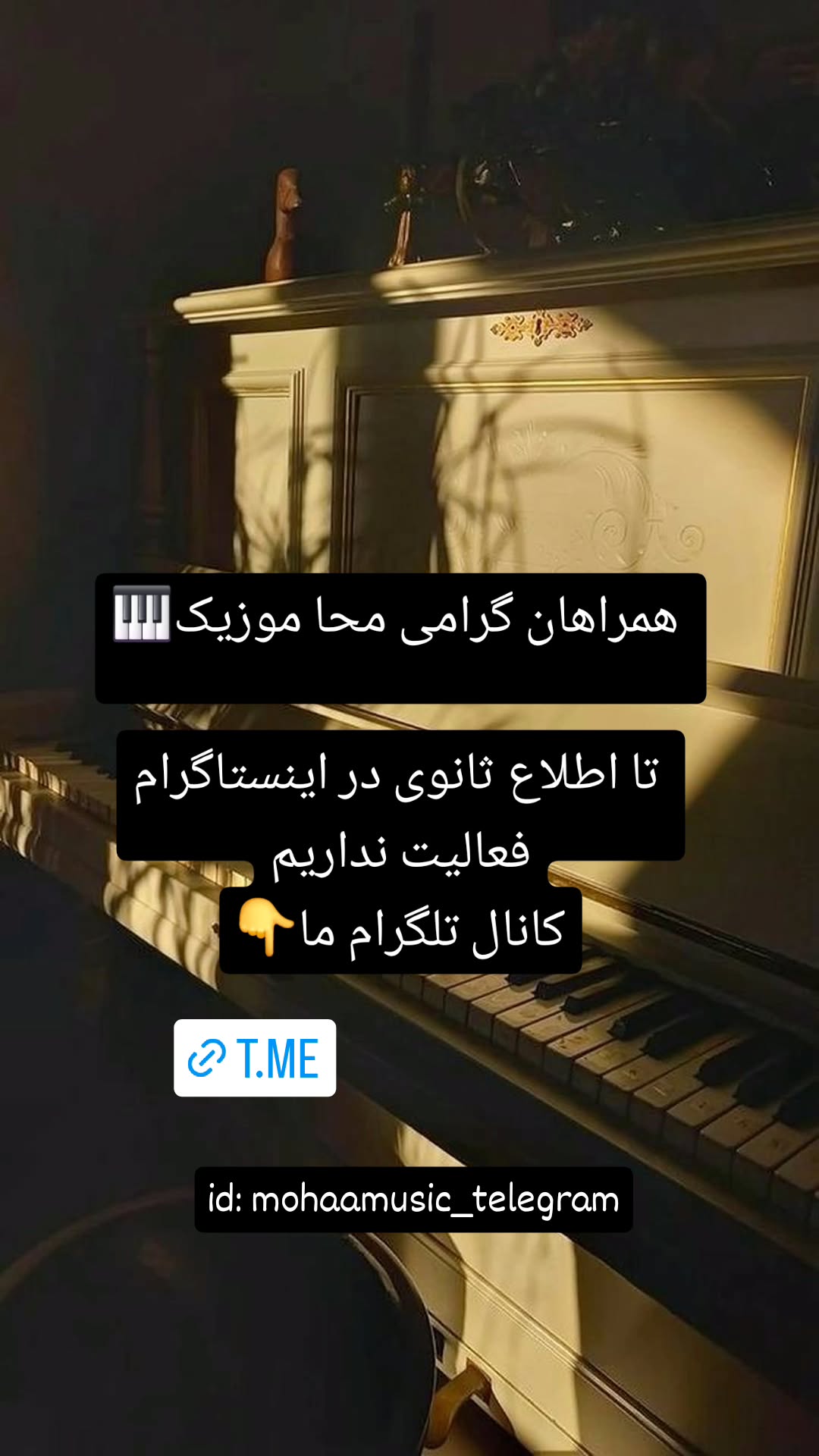  جدید ترین استوری اینستاگرام محمد احمدی