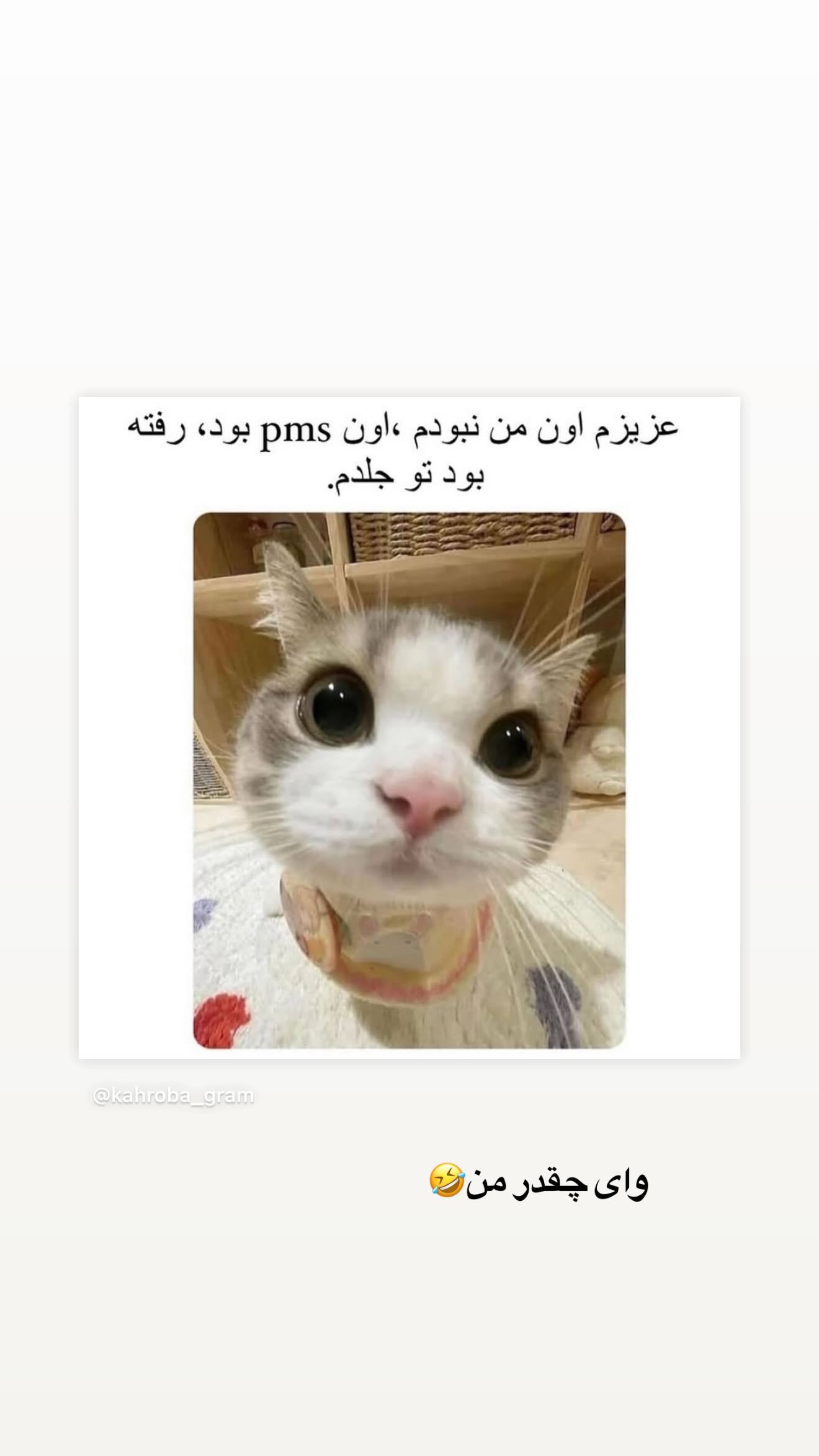  جدید ترین استوری اینستاگرام محدثه خدایار