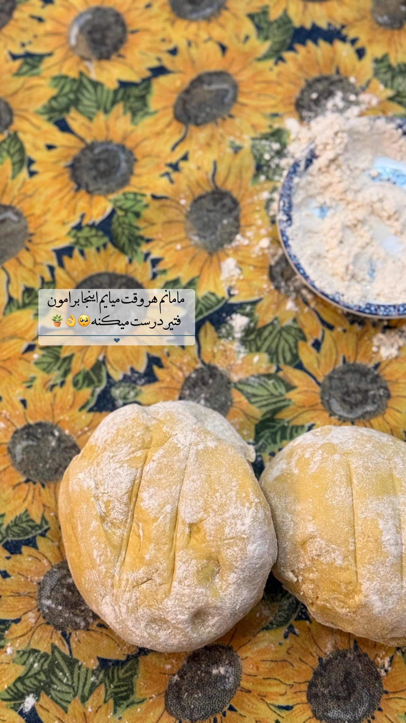  جدید ترین استوری اینستاگرام محدثه خدایار
