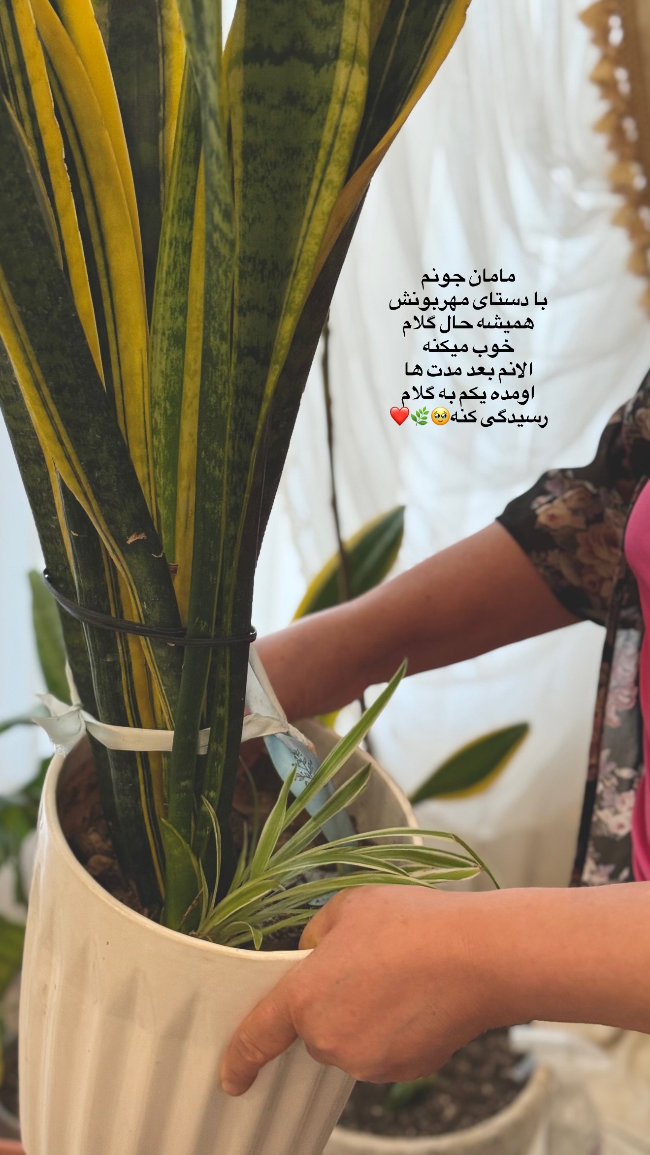  جدید ترین استوری اینستاگرام محدثه خدایار