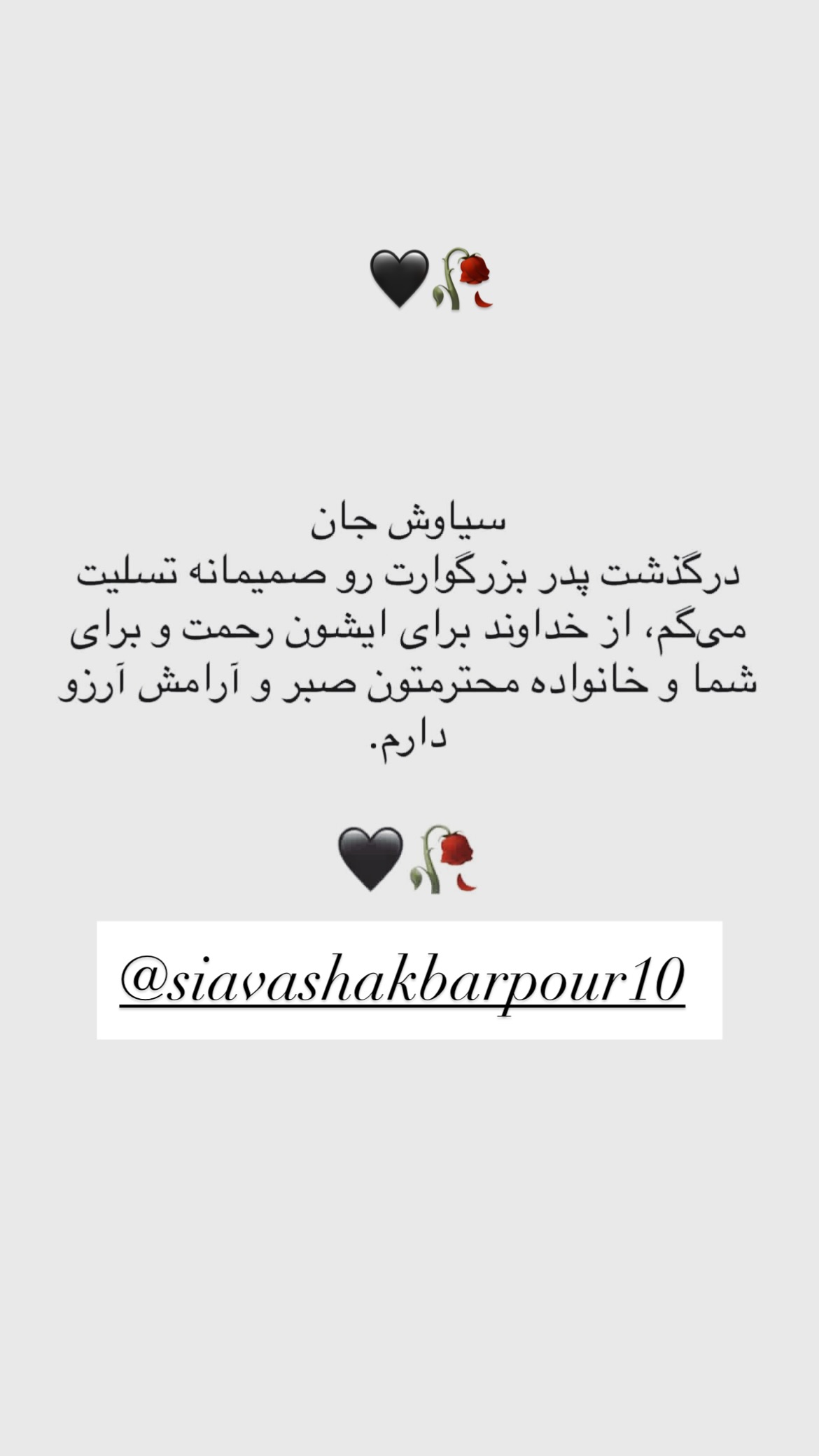  جدید ترین استوری اینستاگرام محمد نوازی