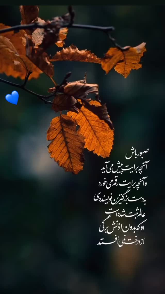  جدید ترین استوری اینستاگرام محمد نوازی