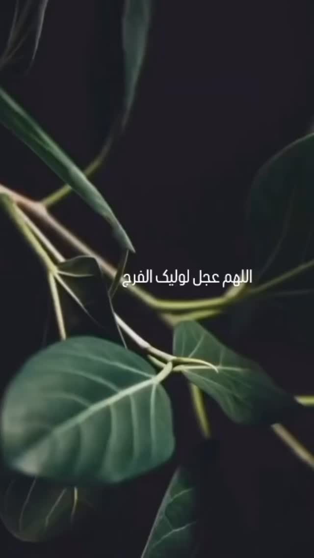  جدید ترین استوری اینستاگرام محمد نوازی