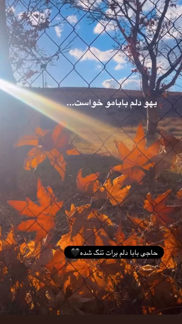 جدید ترین استوری اینستاگرام محمد تنابنده