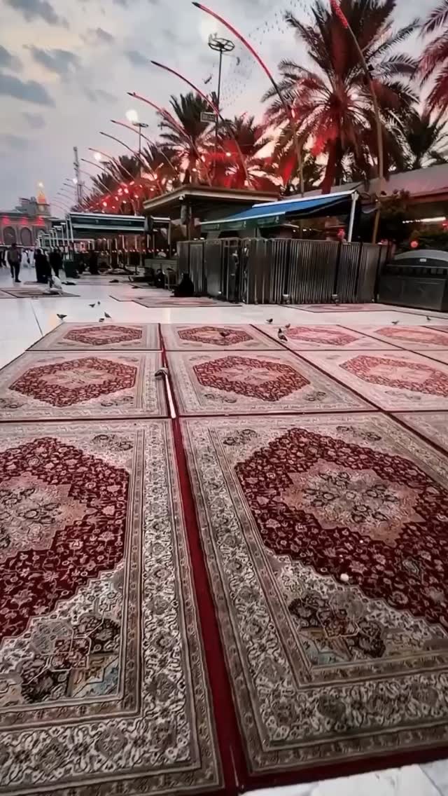  جدید ترین استوری اینستاگرام محمد اسداللهی