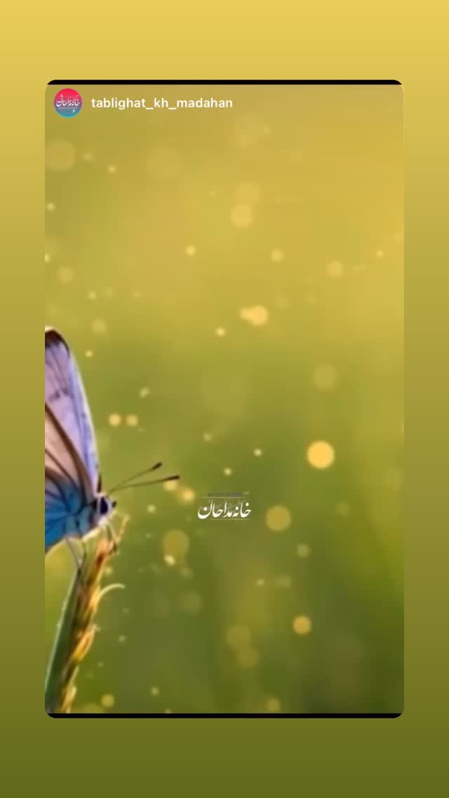  جدید ترین استوری اینستاگرام محمد اسداللهی